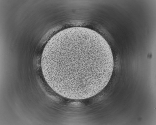 X0000114520119200911301125