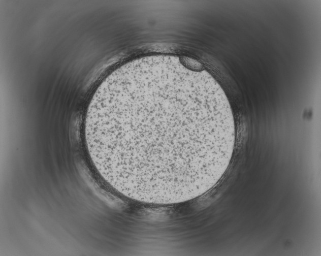 X0000114520120200911301125