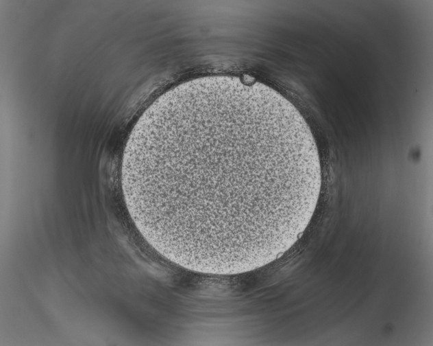 X0000114520123200911301125