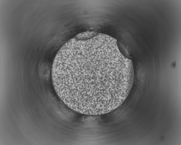 X0000114520129200911301125