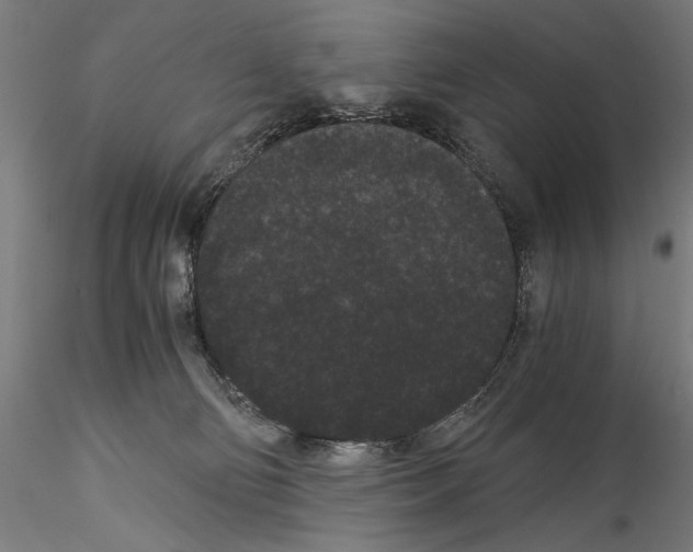 X0000114520130200911301125