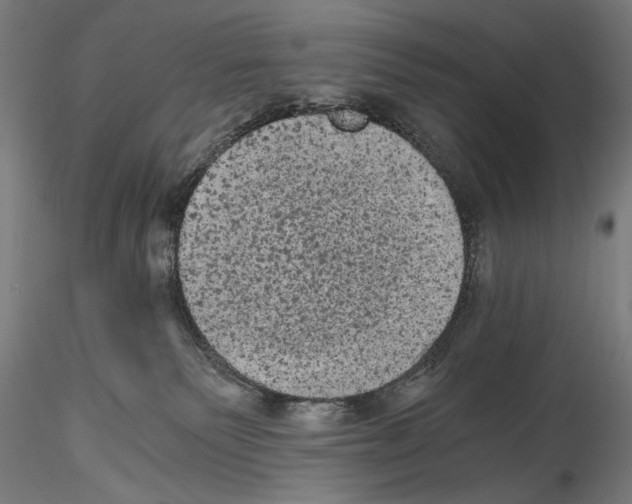 X0000114520135200911301125