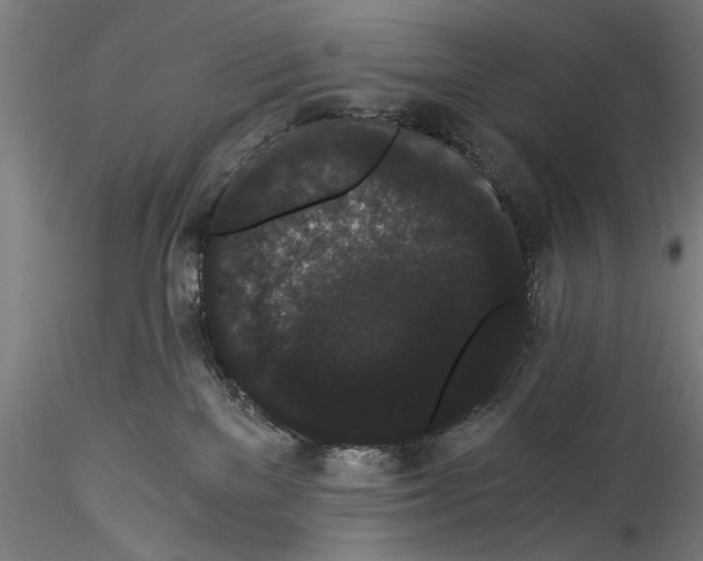 X0000114520137200911301125