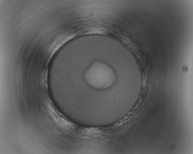 X0000114520146200911301124