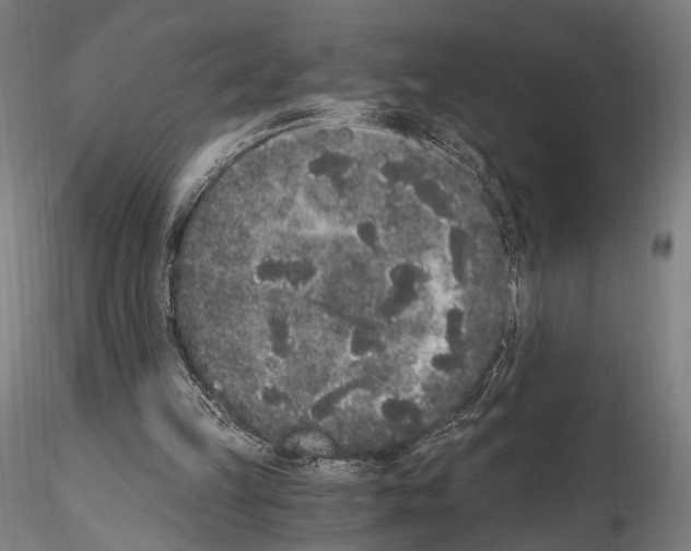 X0000114520149200911301124