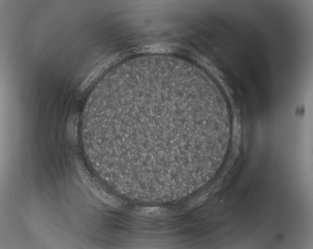 X0000114520153200911301124