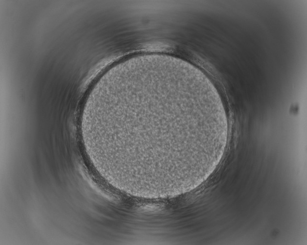 X0000114520155200911301124