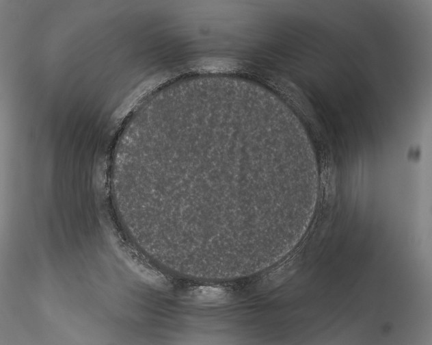 X0000114520159200911301124