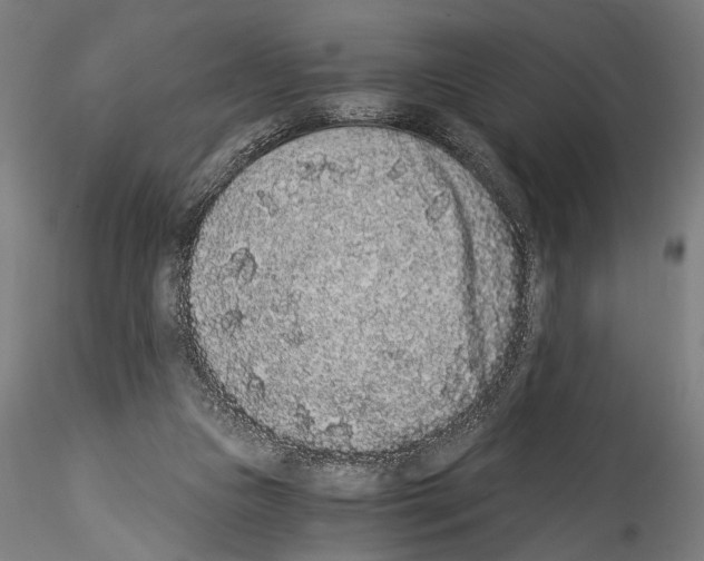 X0000114520161200911301124