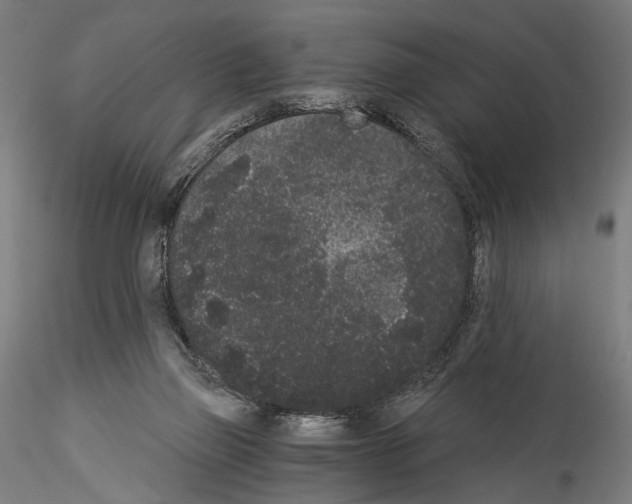 X0000114520165200911301124