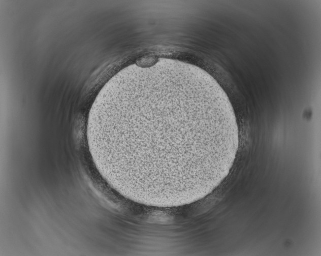 X0000114520166200911301124