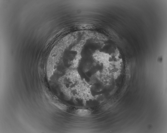 X0000114520169200911301124