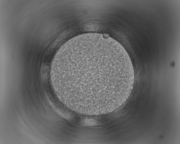 X0000114520171200911301124