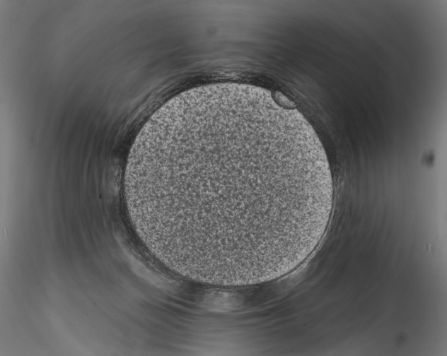 X0000114520174200911301124