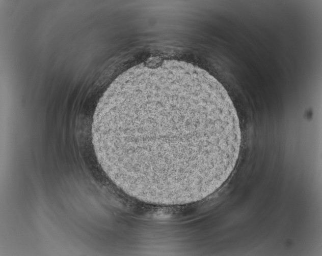 X0000114520178200911301124