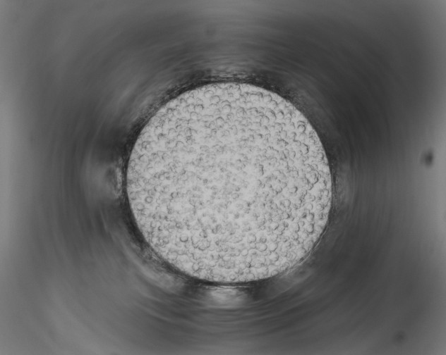 X0000114520183200911301124