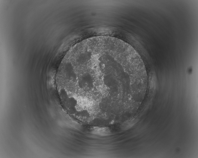 X0000114520185200911301124