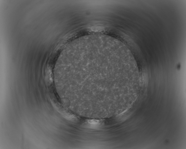 X0000114520187200911301124