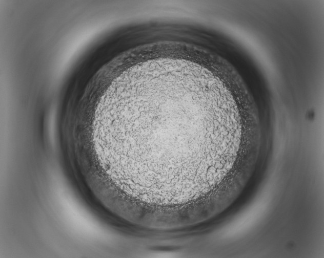 X0000114520189200911301125