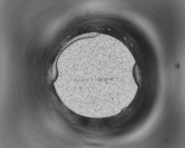 X0000114520190200911301125