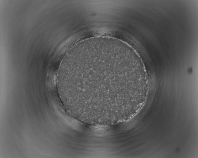 X0000114520191200911301125