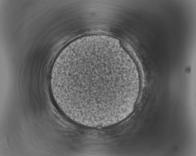 X0000114520193200911301124