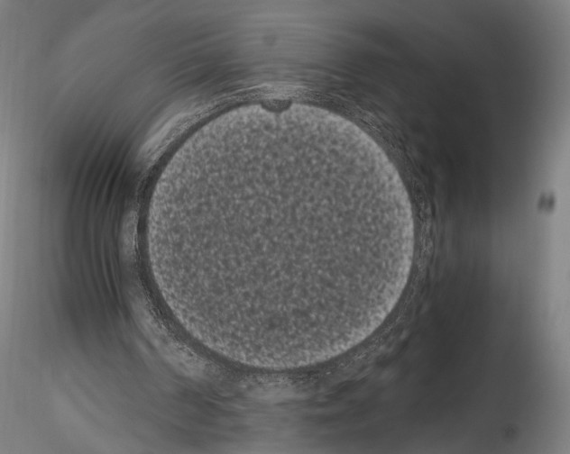 X0000114520194200911301124