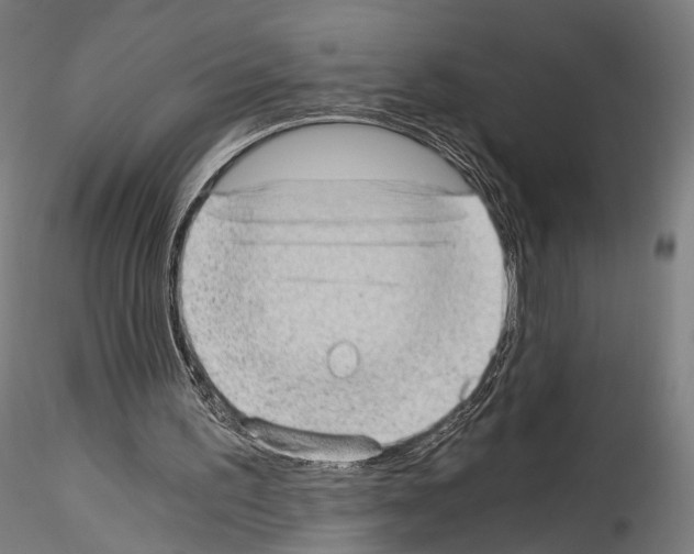 X0000114520195200911301124