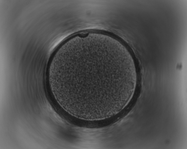 X0000114520196200911301124