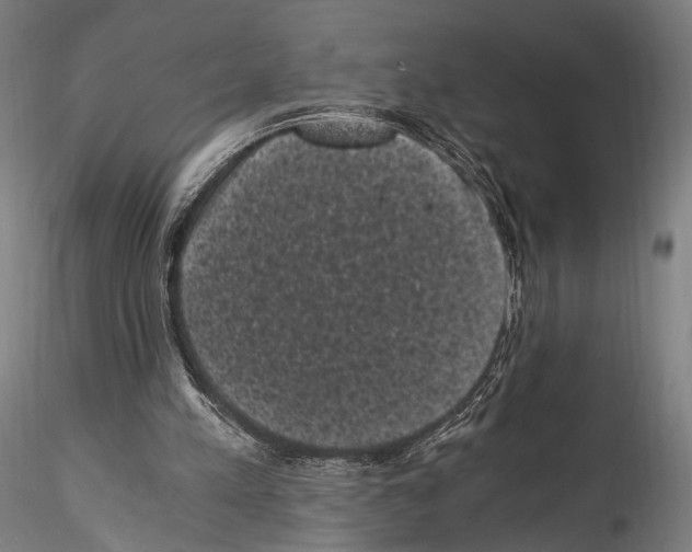 X0000114520197200911301124