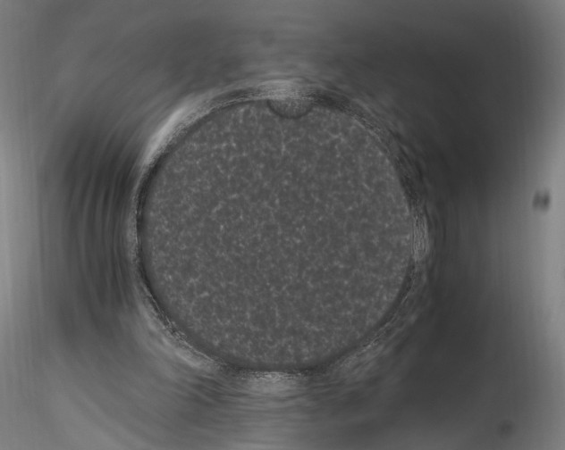 X0000114520198200911301124