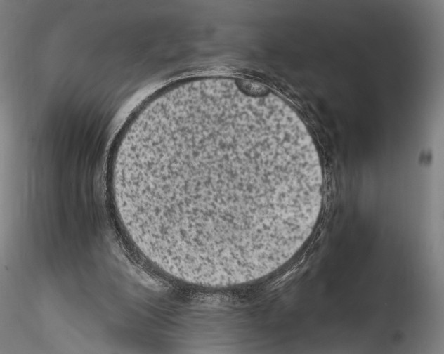 X0000114520200200911301124