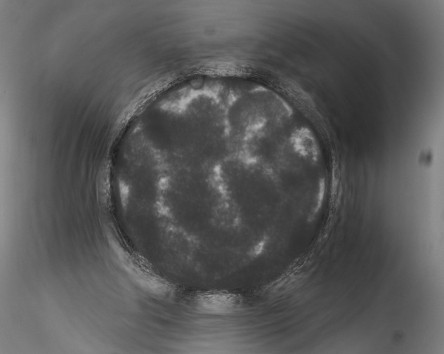 X0000114520202200911301124