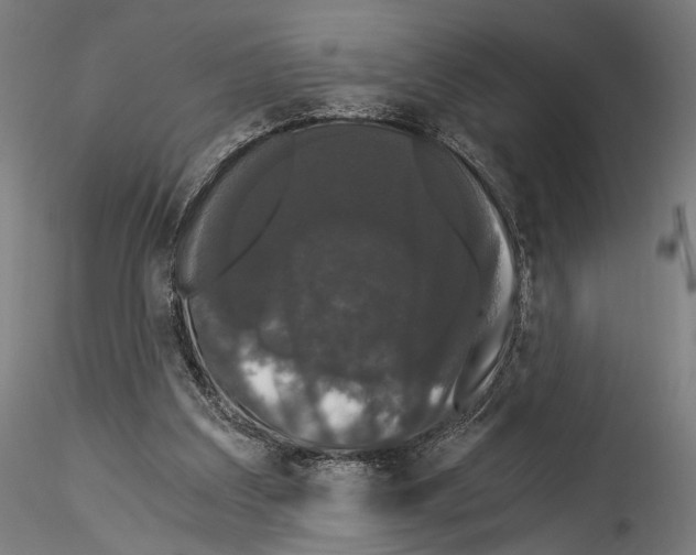 X0000114520203200911301124