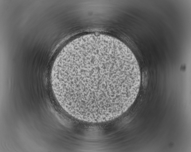 X0000114520204200911301124