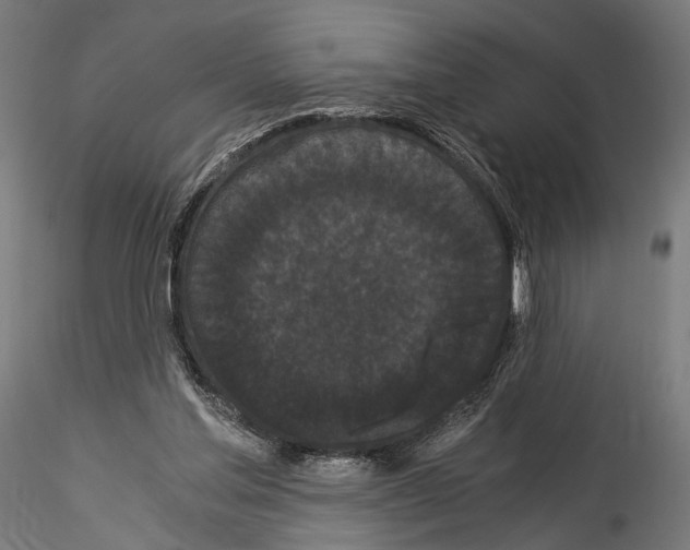 X0000114520205200911301124