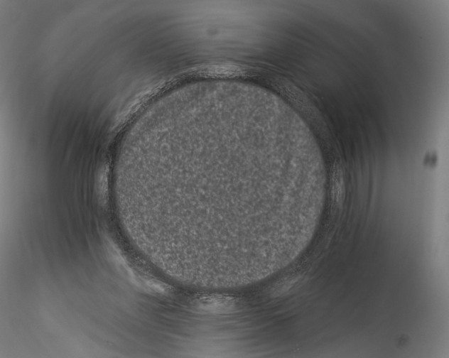 X0000114520206200911301124