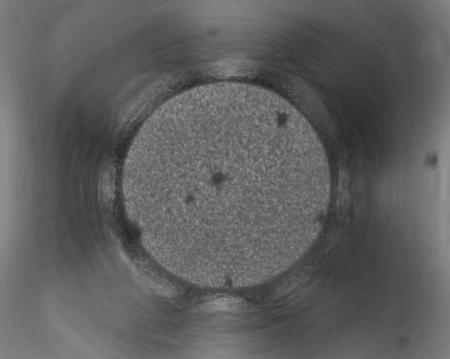 X0000114520210200911301124