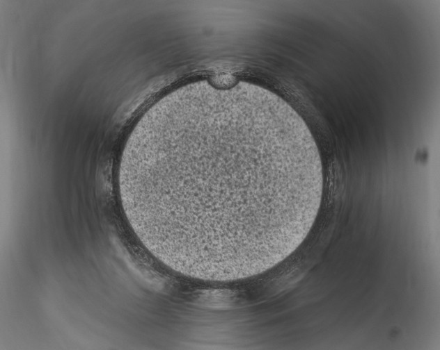 X0000114520212200911301124