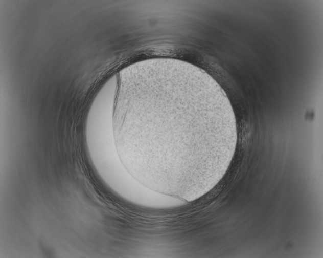 X0000114520213200911301124