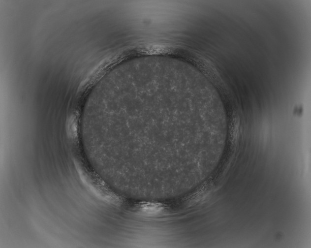 X0000114520214200911301124