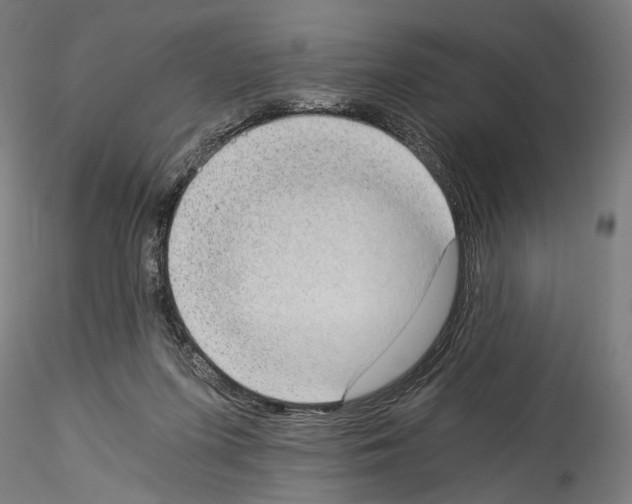 X0000114520215200911301124