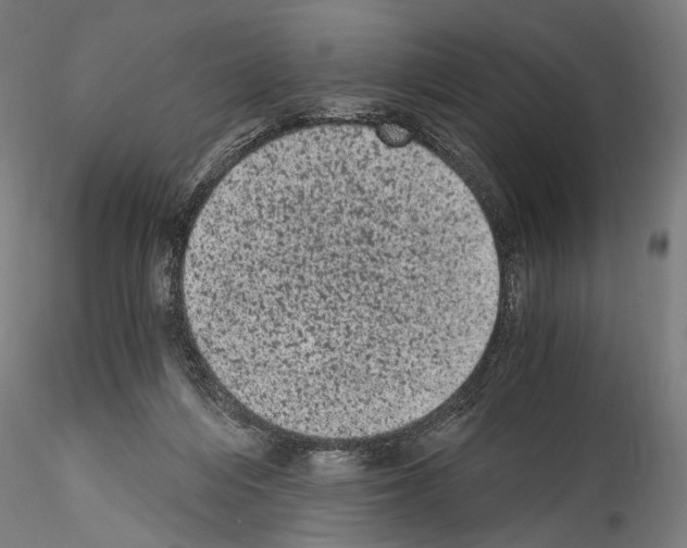 X0000114520216200911301124