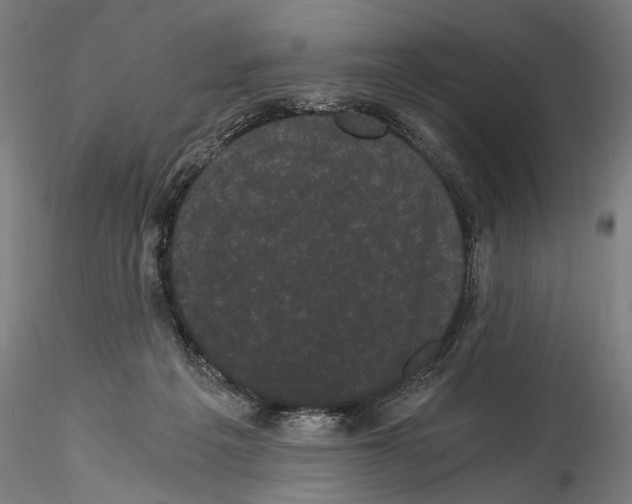 X0000114520217200911301124