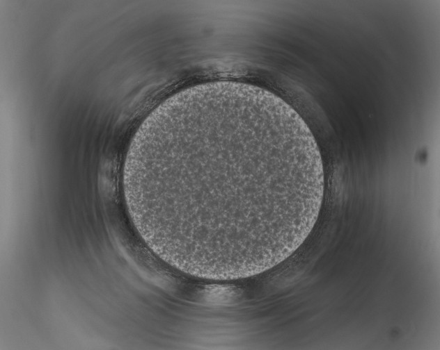 X0000114520218200911301124