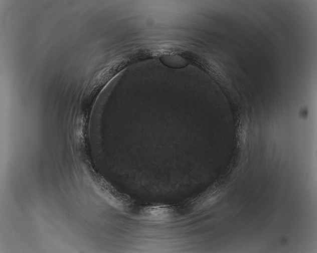 X0000114520219200911301124