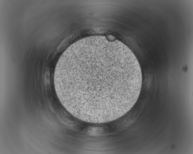 X0000114520220200911301124