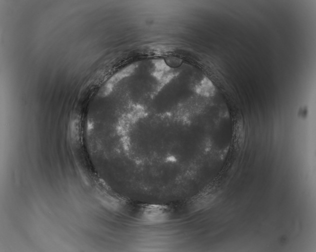 X0000114520222200911301124