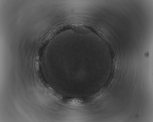 X0000114520223200911301123