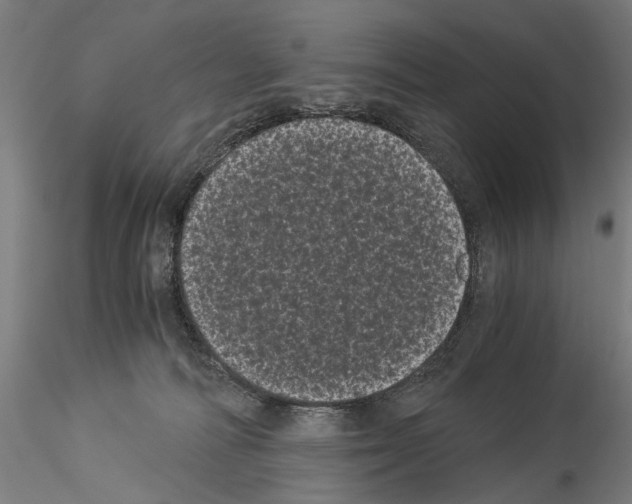 X0000114520226200911301123